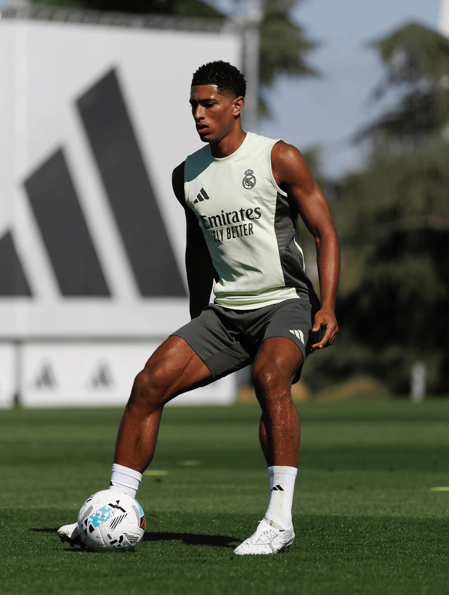 我的兄弟们, div, amp