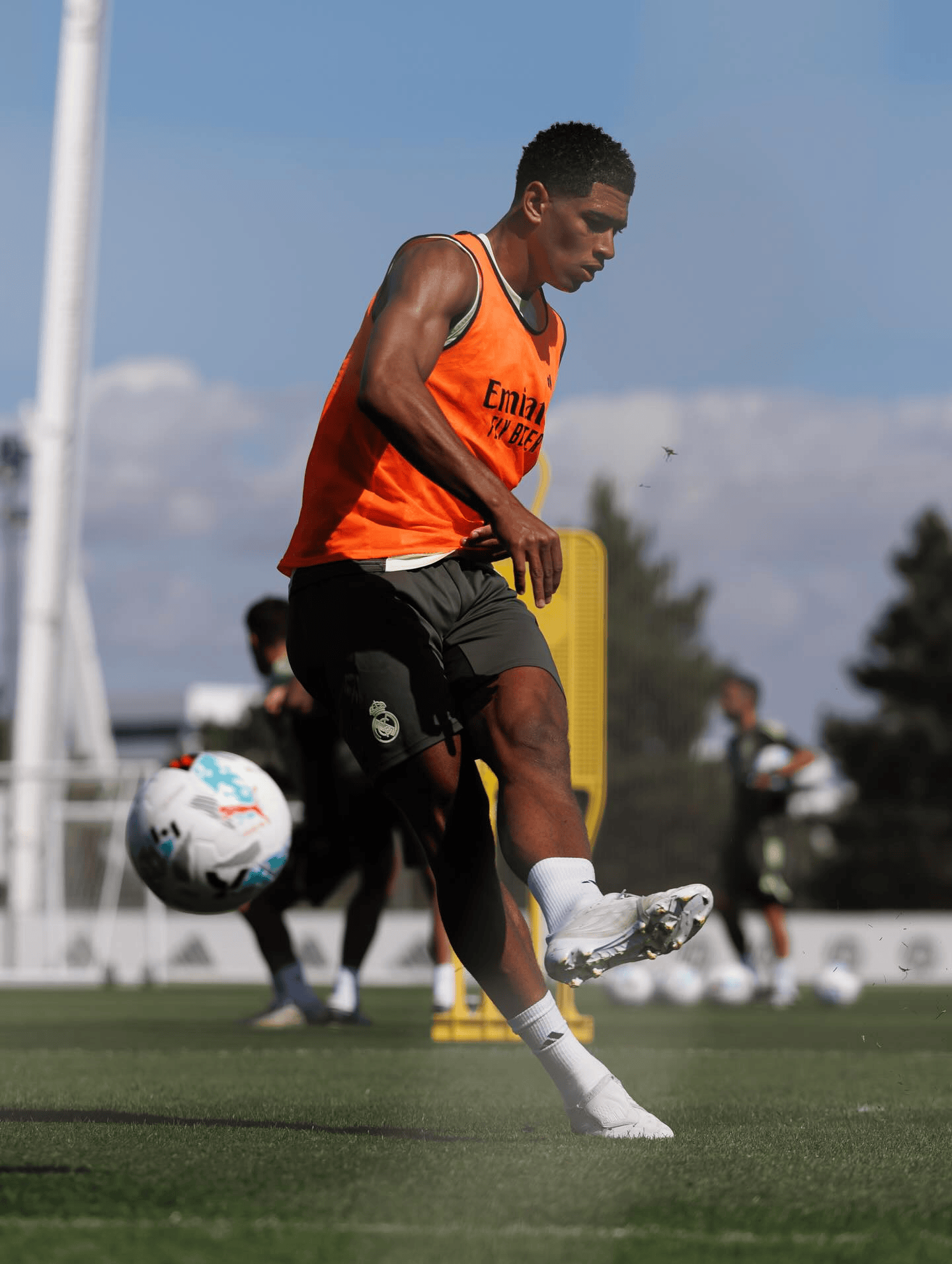 他已经返回, amp