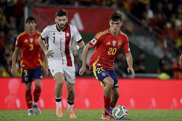 体坛周报全, 但最终只赢, 尔和尼科